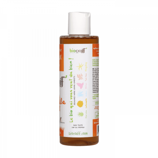 Shampoing Calendula Bio – Cheveux Secs – Image 3