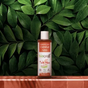 Shampoing Tea Tree Bio – Cheveux Gras
