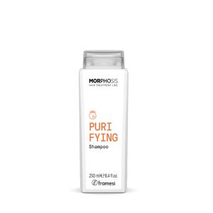 shampoing purifying